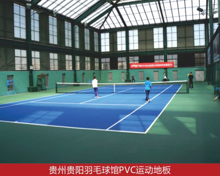 �F���F�(y��ng)��ë���^PVC�\(y��n)��(d��ng)�ذ�